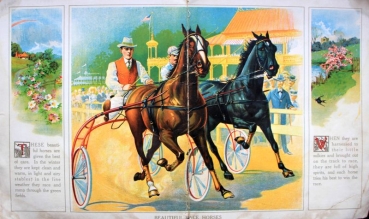 "Trough the world - First picture book" Vehicle Children-Picturebook 1920 (8804)